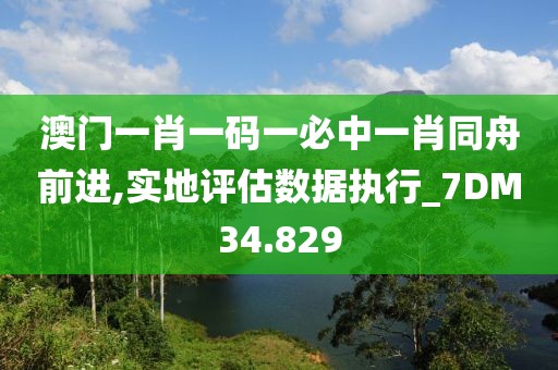 澳门一肖一码一必中一肖同舟前进,实地评估数据执行_7DM34.829