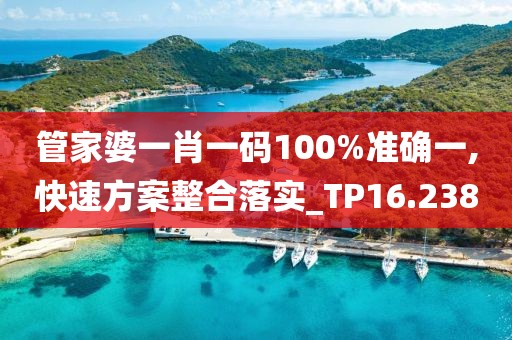 管家婆一肖一码100%准确一,快速方案整合落实_TP16.238