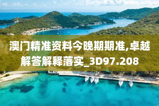 澳门精准资料今晚期期准,卓越解答解释落实_3D97.208