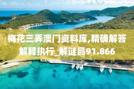 梅花三弄澳门资料库,精确解答解释执行_解谜品91.866
