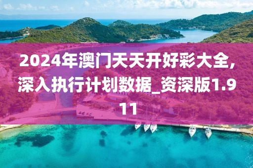 2024年澳门天天开好彩大全,深入执行计划数据_资深版1.911