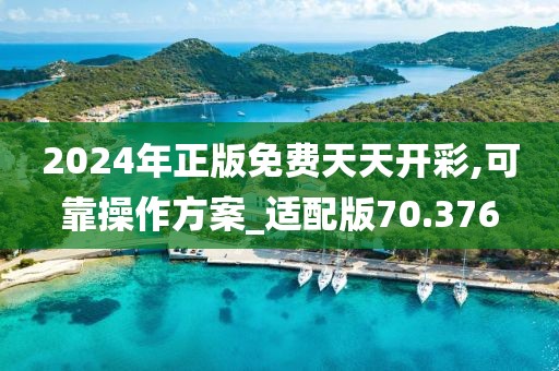 2024年正版免费天天开彩,可靠操作方案_适配版70.376