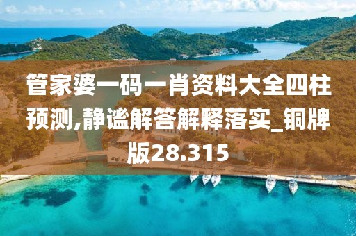 管家婆一码一肖资料大全四柱预测,静谧解答解释落实_铜牌版28.315