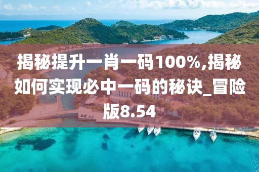 揭秘提升一肖一码100%,揭秘如何实现必中一码的秘诀_冒险版8.54