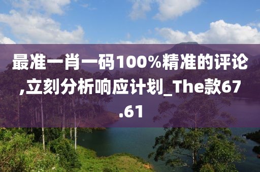 最准一肖一码100%精准的评论,立刻分析响应计划_The款67.61