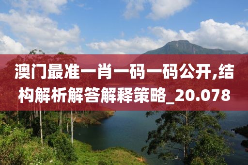澳门最准一肖一码一码公开,结构解析解答解释策略_20.078