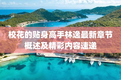 校花的贴身高手林逸最新章节概述及精彩内容速递