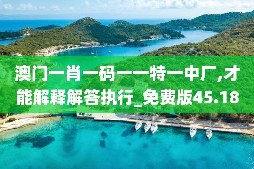 澳门一肖一码一一特一中厂,才能解释解答执行_免费版45.18