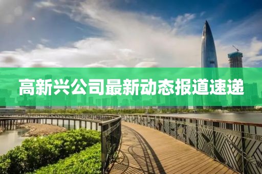 高新兴公司最新动态报道速递