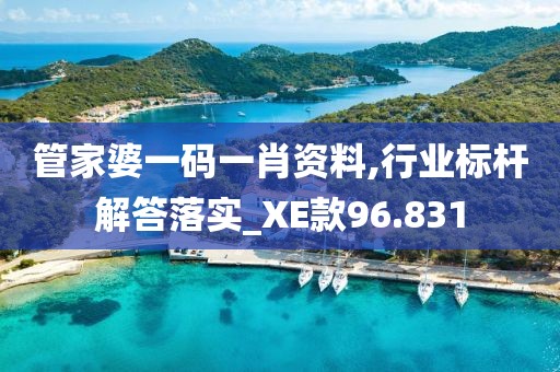 管家婆一码一肖资料,行业标杆解答落实_XE款96.831