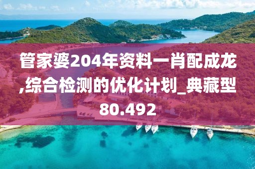管家婆204年资料一肖配成龙,综合检测的优化计划_典藏型80.492