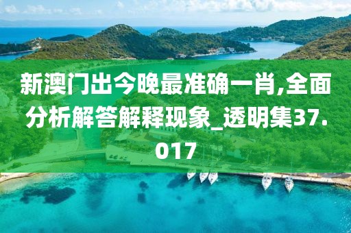 新澳门出今晚最准确一肖,全面分析解答解释现象_透明集37.017