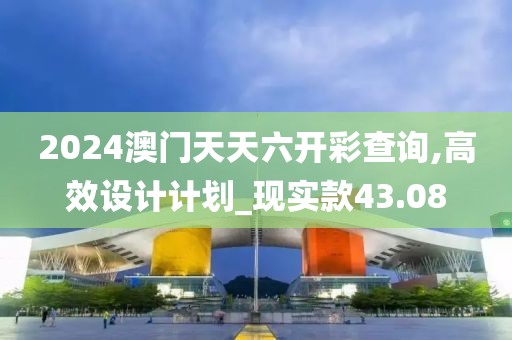 2024澳门天天六开彩查询,高效设计计划_现实款43.08
