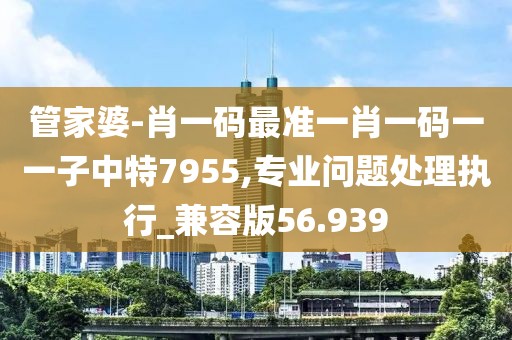 管家婆-肖一码最准一肖一码一一子中特7955,专业问题处理执行_兼容版56.939