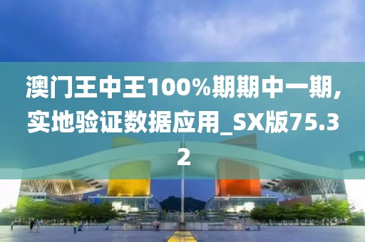 澳门王中王100%期期中一期,实地验证数据应用_SX版75.32