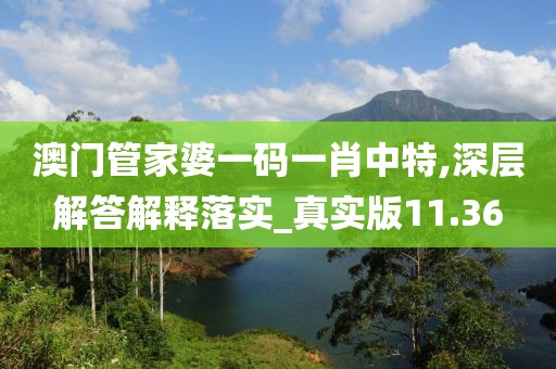 澳门管家婆一码一肖中特,深层解答解释落实_真实版11.36