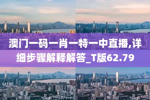澳门一码一肖一特一中直播,详细步骤解释解答_T版62.79