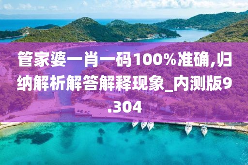 管家婆一肖一码100%准确,归纳解析解答解释现象_内测版9.304