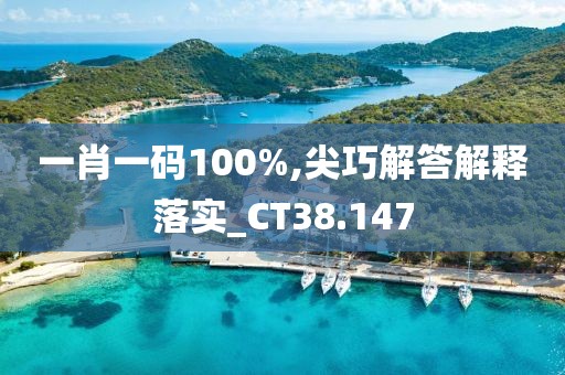 一肖一码100%,尖巧解答解释落实_CT38.147
