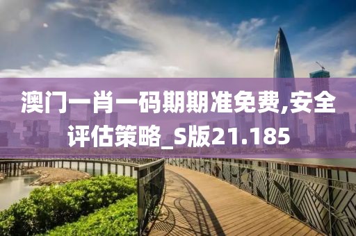 澳门一肖一码期期准免费,安全评估策略_S版21.185