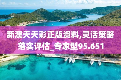 新澳天天彩正版资料,灵活策略落实评估_专家型95.651