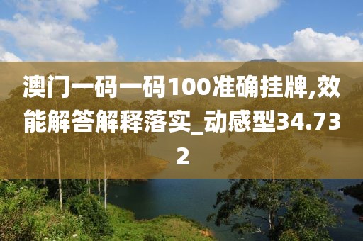 澳门一码一码100准确挂牌,效能解答解释落实_动感型34.732