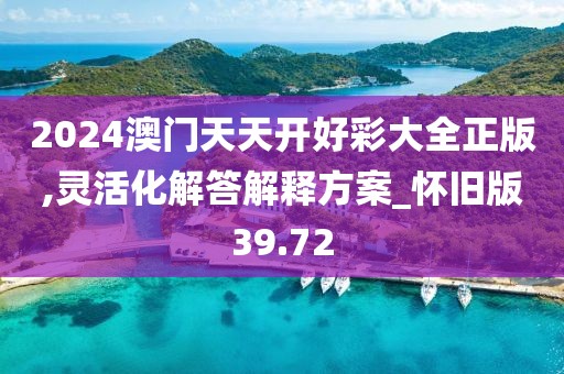 2024澳门天天开好彩大全正版,灵活化解答解释方案_怀旧版39.72