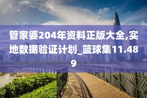 管家婆204年资料正版大全,实地数据验证计划_篮球集11.489