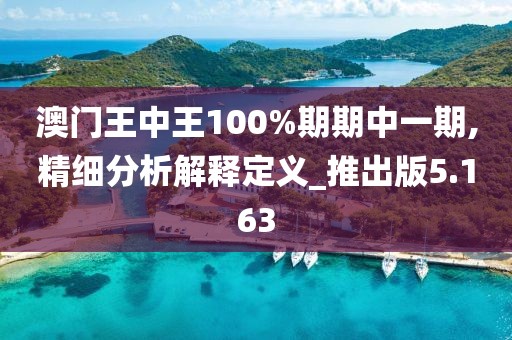 澳门王中王100%期期中一期,精细分析解释定义_推出版5.163