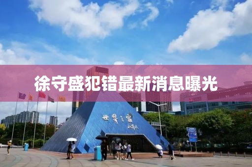 徐守盛犯错最新消息曝光