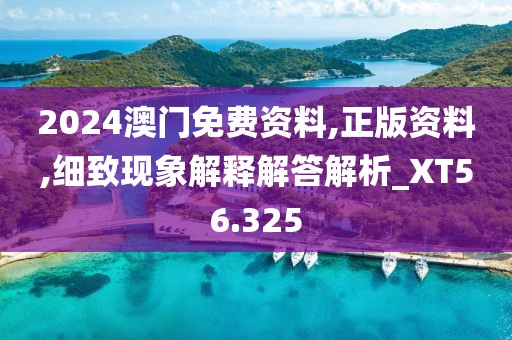 2024澳门免费资料,正版资料,细致现象解释解答解析_XT56.325