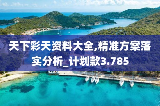 天下彩天资料大全,精准方案落实分析_计划款3.785