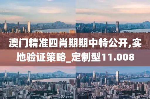 澳门精准四肖期期中特公开,实地验证策略_定制型11.008