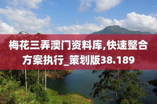 梅花三弄澳门资料库,快速整合方案执行_策划版38.189
