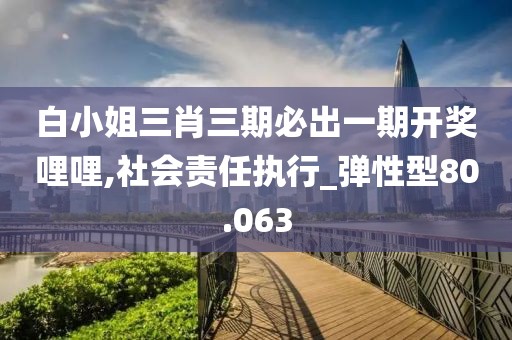 白小姐三肖三期必出一期开奖哩哩,社会责任执行_弹性型80.063