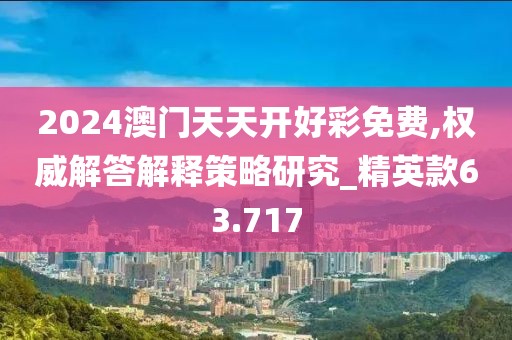 2024澳门天天开好彩免费,权威解答解释策略研究_精英款63.717