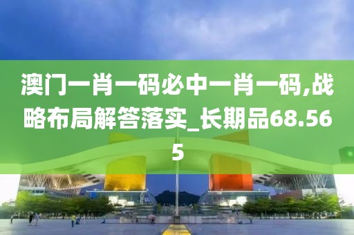 澳门一肖一码必中一肖一码,战略布局解答落实_长期品68.565