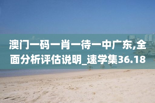 澳门一码一肖一待一中广东,全面分析评估说明_速学集36.18