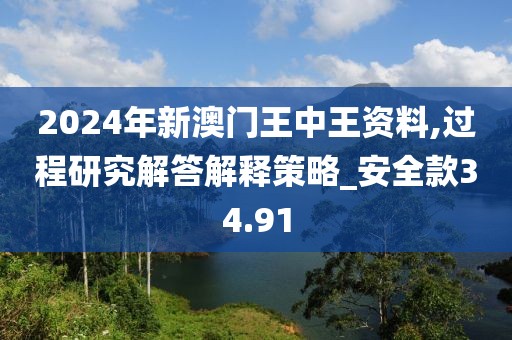 2024年新澳门王中王资料,过程研究解答解释策略_安全款34.91