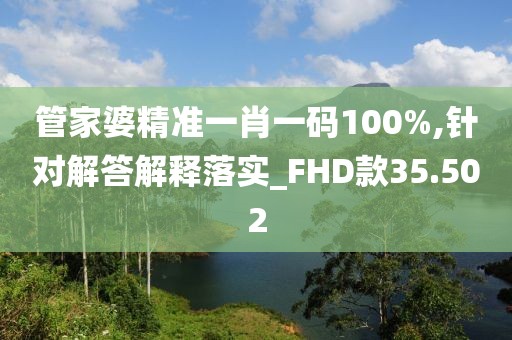 管家婆精准一肖一码100%,针对解答解释落实_FHD款35.502