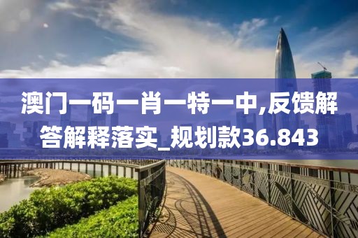 澳门一码一肖一特一中,反馈解答解释落实_规划款36.843