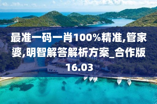 最准一码一肖100%精准,管家婆,明智解答解析方案_合作版16.03