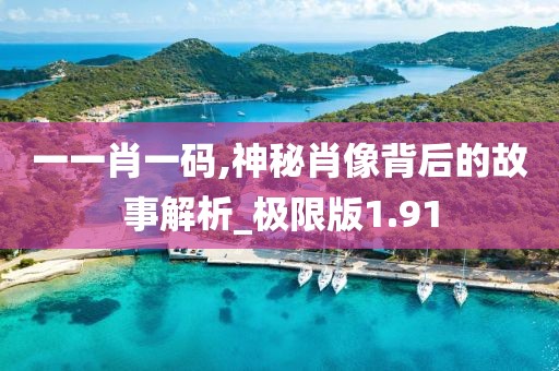 一一肖一码,神秘肖像背后的故事解析_极限版1.91