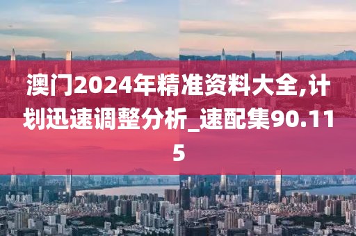 澳门2024年精准资料大全,计划迅速调整分析_速配集90.115