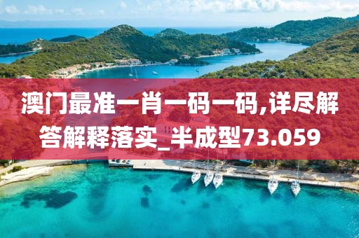 澳门最准一肖一码一码,详尽解答解释落实_半成型73.059