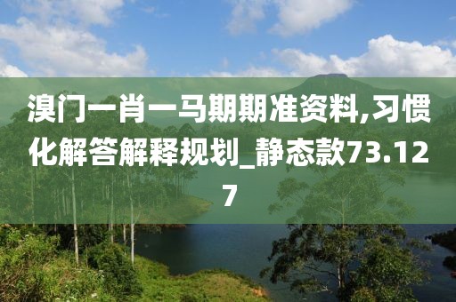溴门一肖一马期期准资料,习惯化解答解释规划_静态款73.127