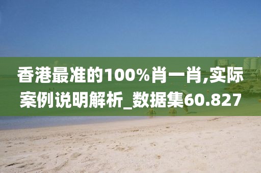香港最准的100%肖一肖,实际案例说明解析_数据集60.827