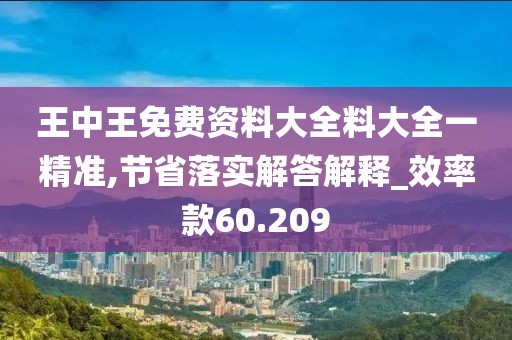 王中王免费资料大全料大全一精准,节省落实解答解释_效率款60.209