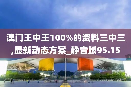 澳门王中王100%的资料三中三,最新动态方案_静音版95.15