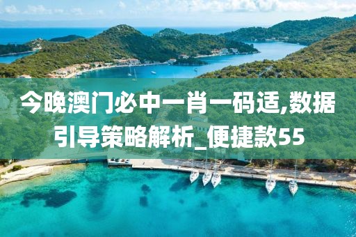 今晚澳门必中一肖一码适,数据引导策略解析_便捷款55